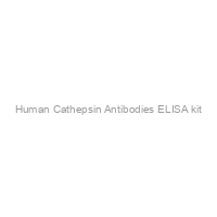 Human Cathepsin Antibodies ELISA kit